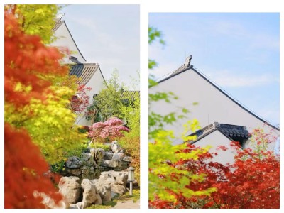 1761796421517834.jpg 02.jpg