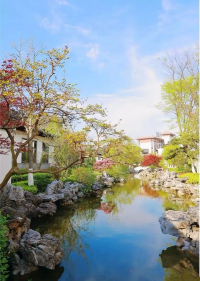 1761796427695383.jpg 03.jpg