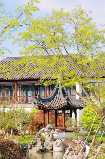 1761796435809151.jpg 04.jpg