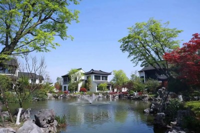 1761796456613396.jpg 06.jpg