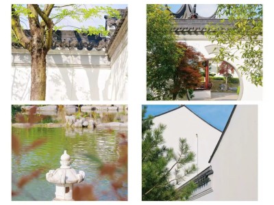 1761796464432662.jpg 07.jpg