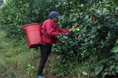 1761904877522319.jpg 03.jpg