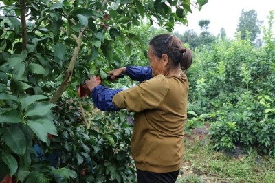 1761904884310491.jpg 04.jpg