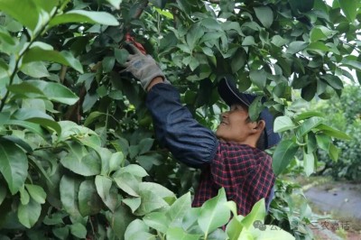 1761904893810563.jpg 05.jpg