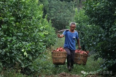 1761904901139511.jpg 06.jpg