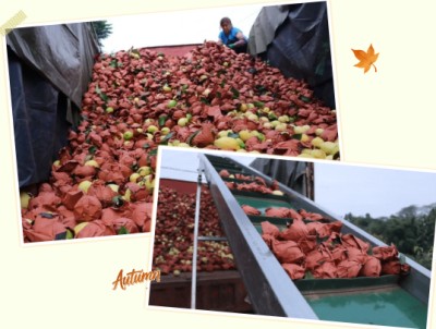 1761904909950659.jpg 07.jpg