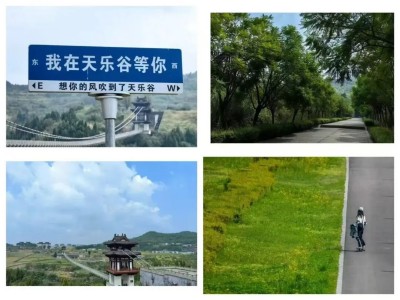 1762312033793983.jpg 03.jpg