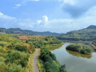 1762312048114679.jpg 05.jpg