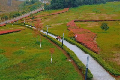 1762312056576610.jpg 06.jpg