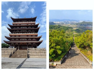 1762312065621543.jpg 07.jpg