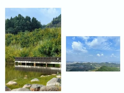 1762312072441078.jpg 08.jpg