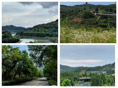 1762312080906460.jpg 09.jpg