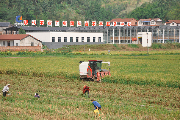 1762313690820772.png QQ_1762313659920.png