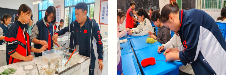 1762314583979866.png QQ_1762314555794.png