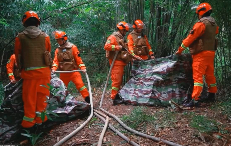 1762484657174164.png QQ_1762483907281.png