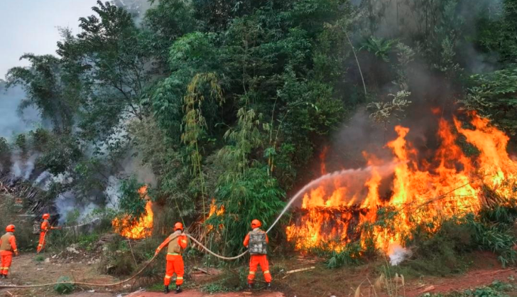 1762484809874990.png QQ_1762483897508.png