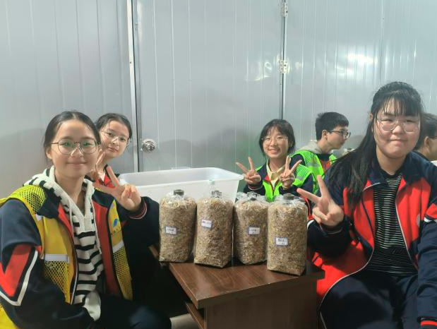 1763006932495621.png QQ_1763006741561.png