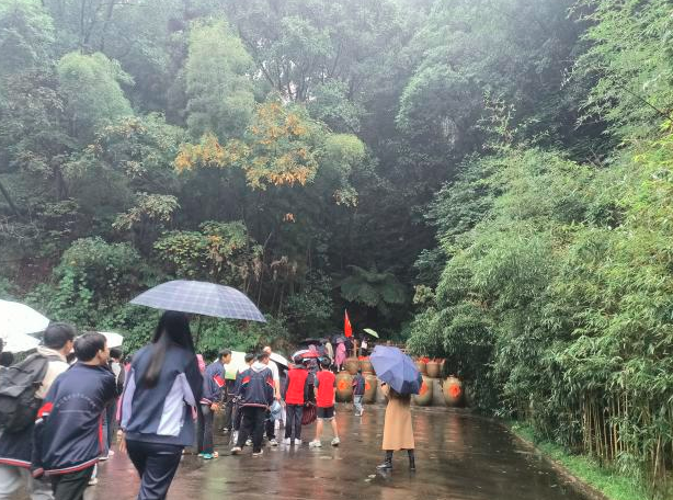 1763006997593557.png QQ_1763006702268.png