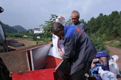 1763092359501958.jpg 03.jpg