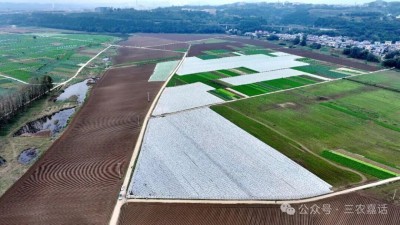 1763092489804334.jpg 15.jpg