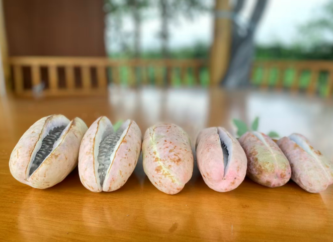 1763109039183363.png QQ_1763109030529.png