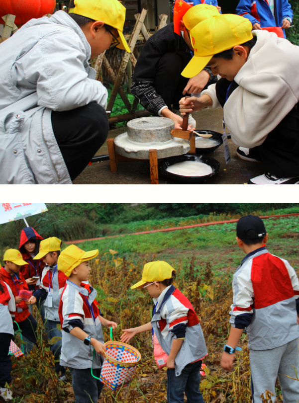 1763114019228879.png QQ_1763114009265.png