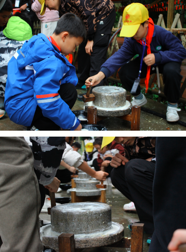 1763114174819270.png QQ_1763114152514.png