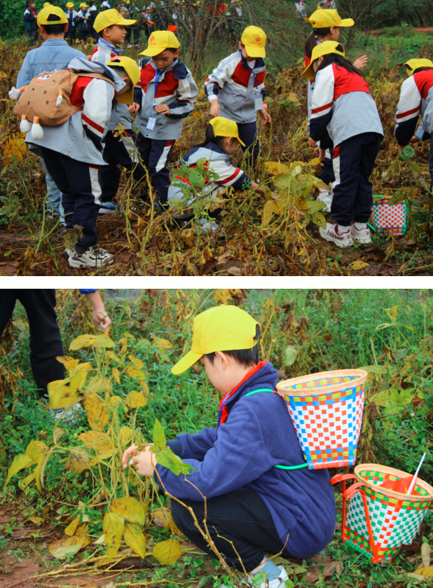 1763114290202779.png QQ_1763114257027.png