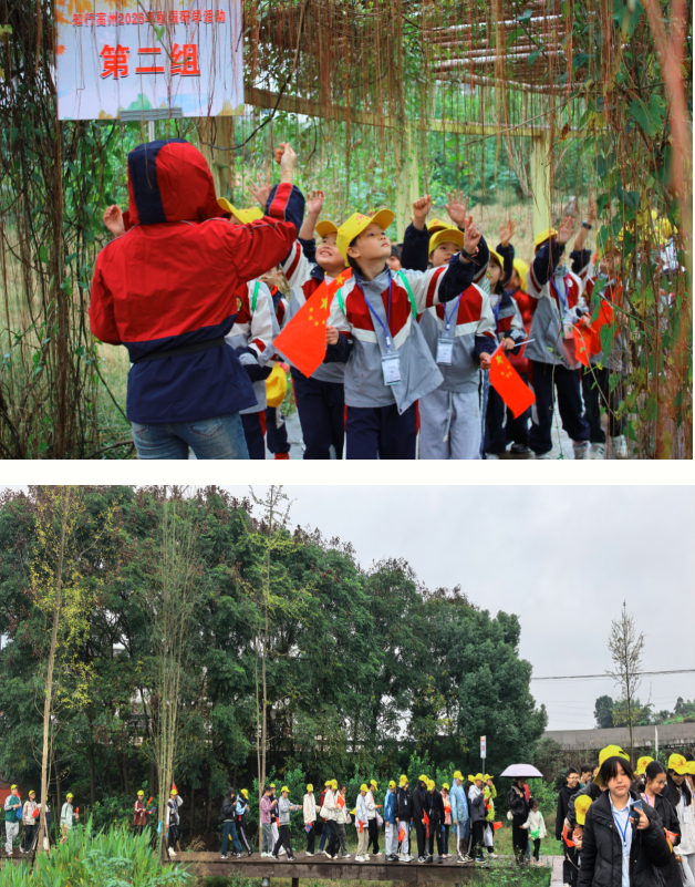 1763114295944694.png QQ_1763114277321.png