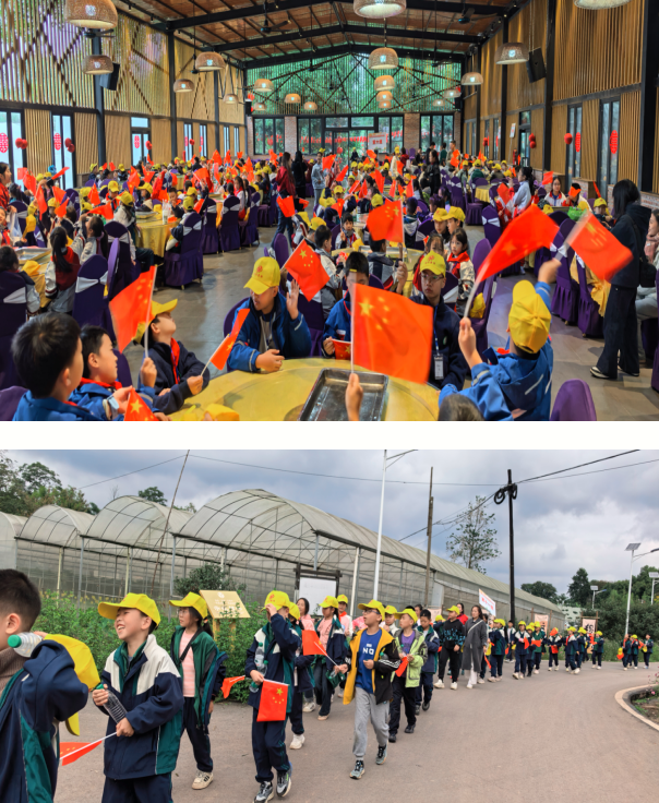 1763114541109178.png QQ_1763114508429.png