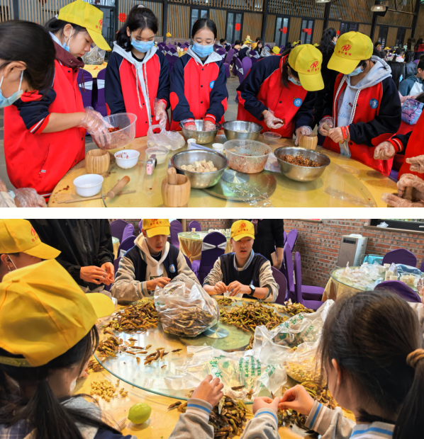 1763114813794823.png QQ_1763114117194.png