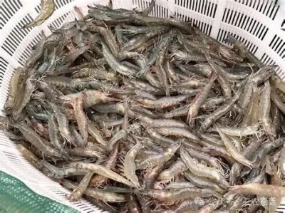 1763281598138085.jpg 02.jpg