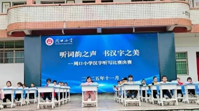 1763283293744876.jpg 04.jpg