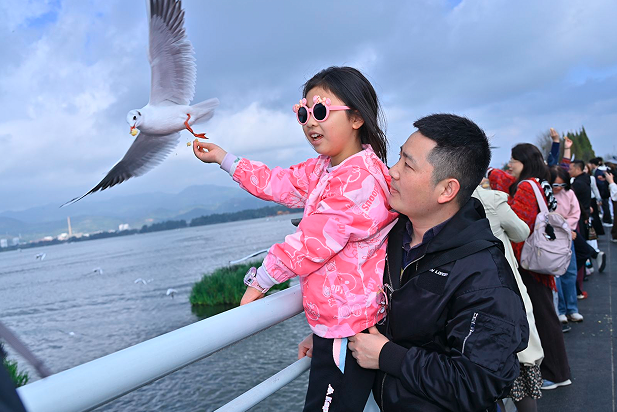 1763352594984634.png QQ_1763352506221.png