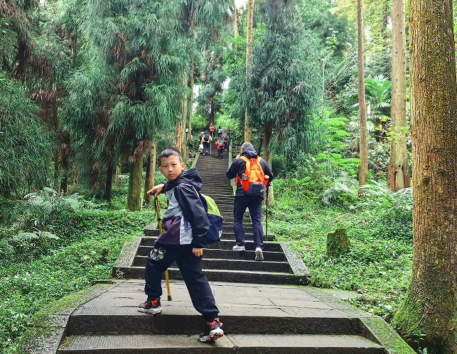 1763352601974553.png QQ_1763352520820.png