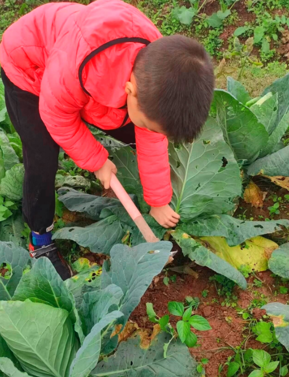 1763460358444560.png QQ_1763460330331.png