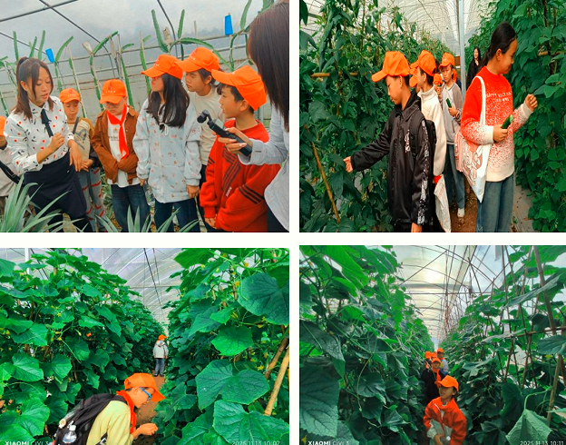 1763509821257949.png QQ_1763509802135.png