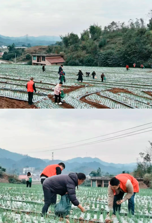 1763693295286764.png QQ_1763693282423.png