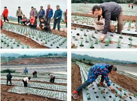 1763693319353364.png QQ_1763693303752.png