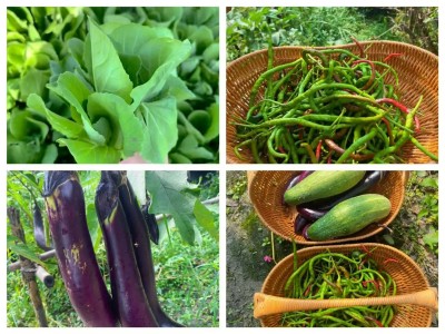 1763860865859245.jpg 09.jpg