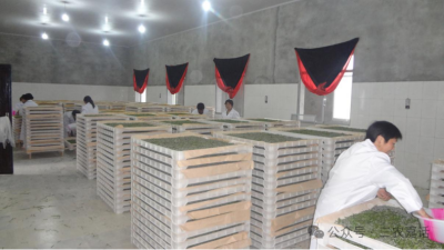 1763861242282121.png 03.png