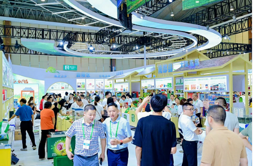 1764167874439261.png 2.png