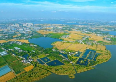 1764233839354029.jpg 04.jpg