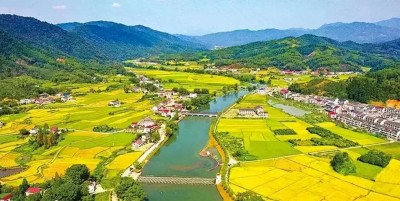 1764233853855422.jpg 05.jpg