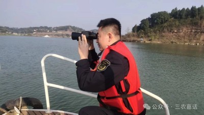 1764235223295175.jpg 06.jpg