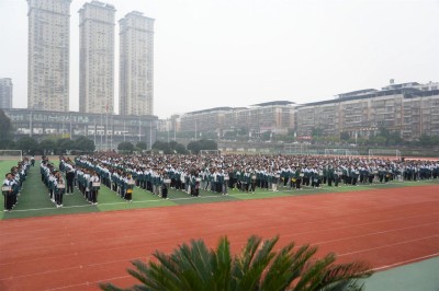 1764236806337632.jpg 02.jpg