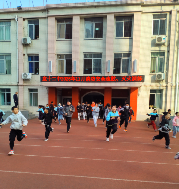 1764487766968223.png QQ_1764487751444.png