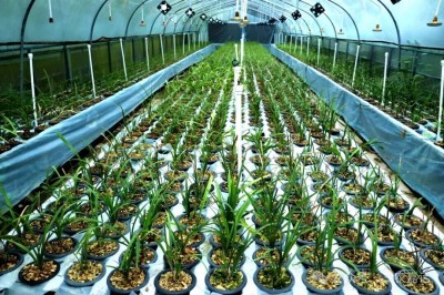 ũҵ��ҵ��������԰����Ⱥ�������¸��ɾ�