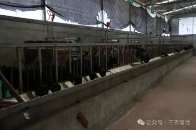 1764668441584395.jpg 06.jpg