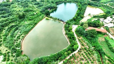 1764668454565093.jpg 07.jpg